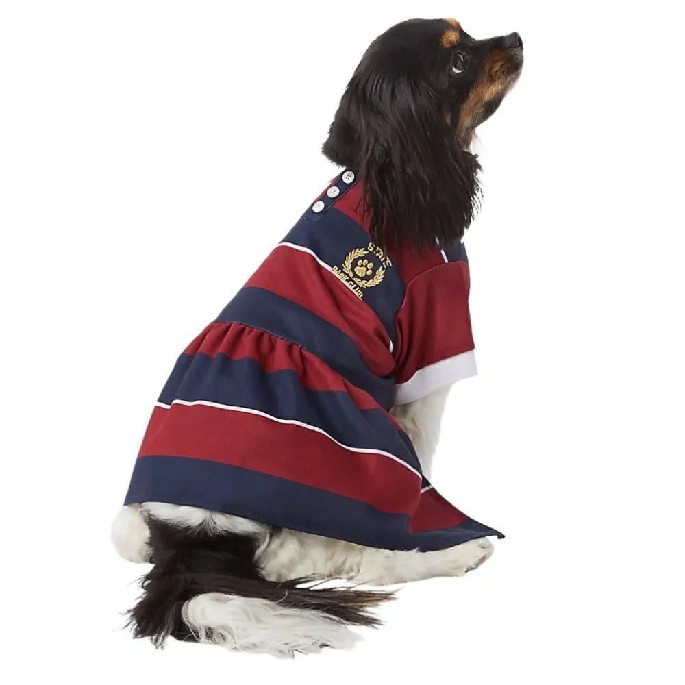 Preppy Dog Dress